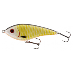 Westin Swim Jerk Sinking 12 Cm - Official Roach